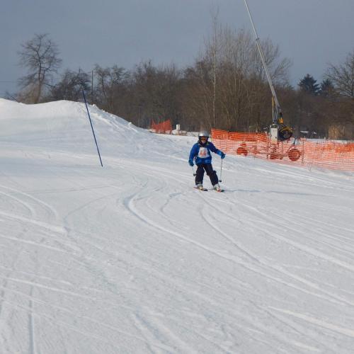 Školní lyžařské závody
