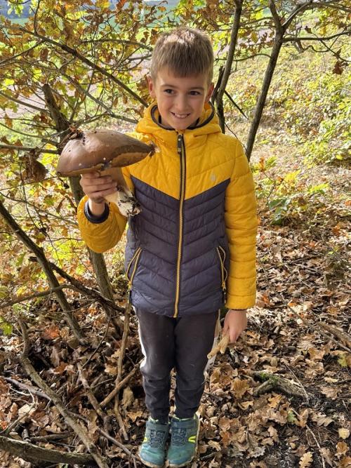 Slunečný říjen v ŠD