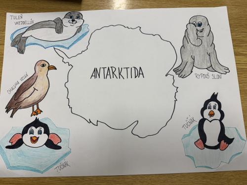 Antarktida a Arktida