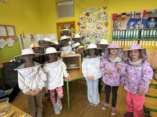 Mobilní exkurze-VČELY